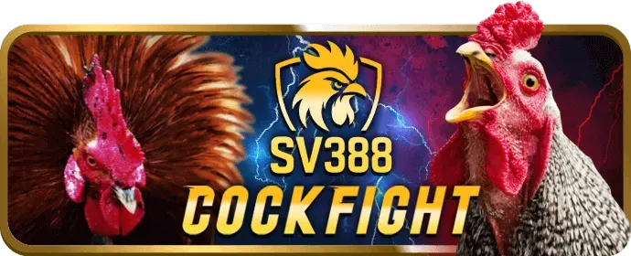 Bảng tỷ lệ cược đa dạng và cạnh tranh tại N188 Casino